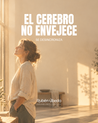 El cerebro no envejece: se desincroniza